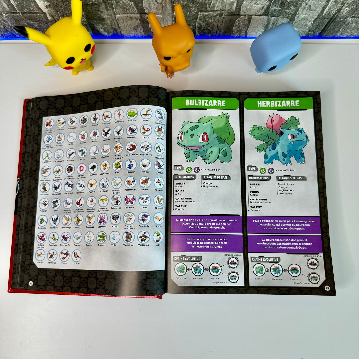 Encyclopédie Pokémon®️ ⏐ Manuel pour Dresseurs