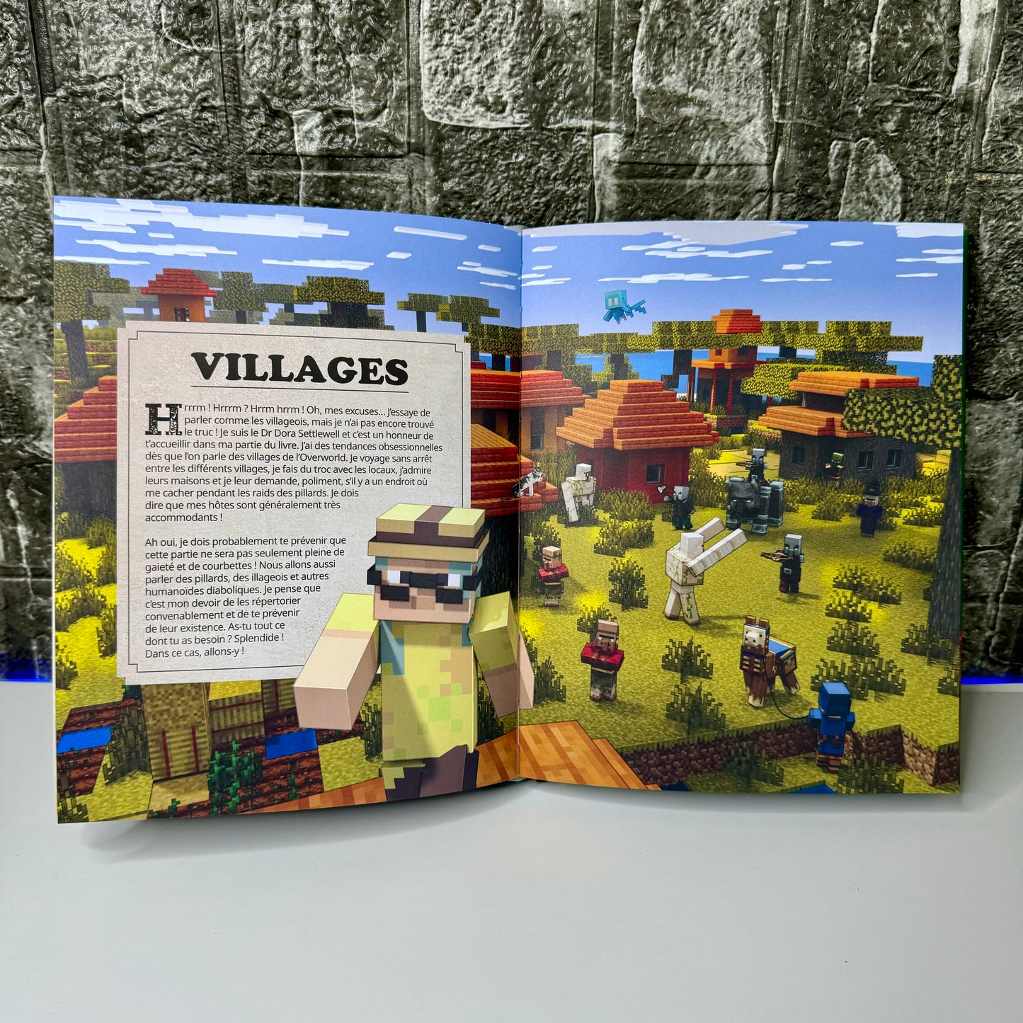 Encyclopédie Définitive Minecraft® ⏐ Maîtrise, Crée et Survis