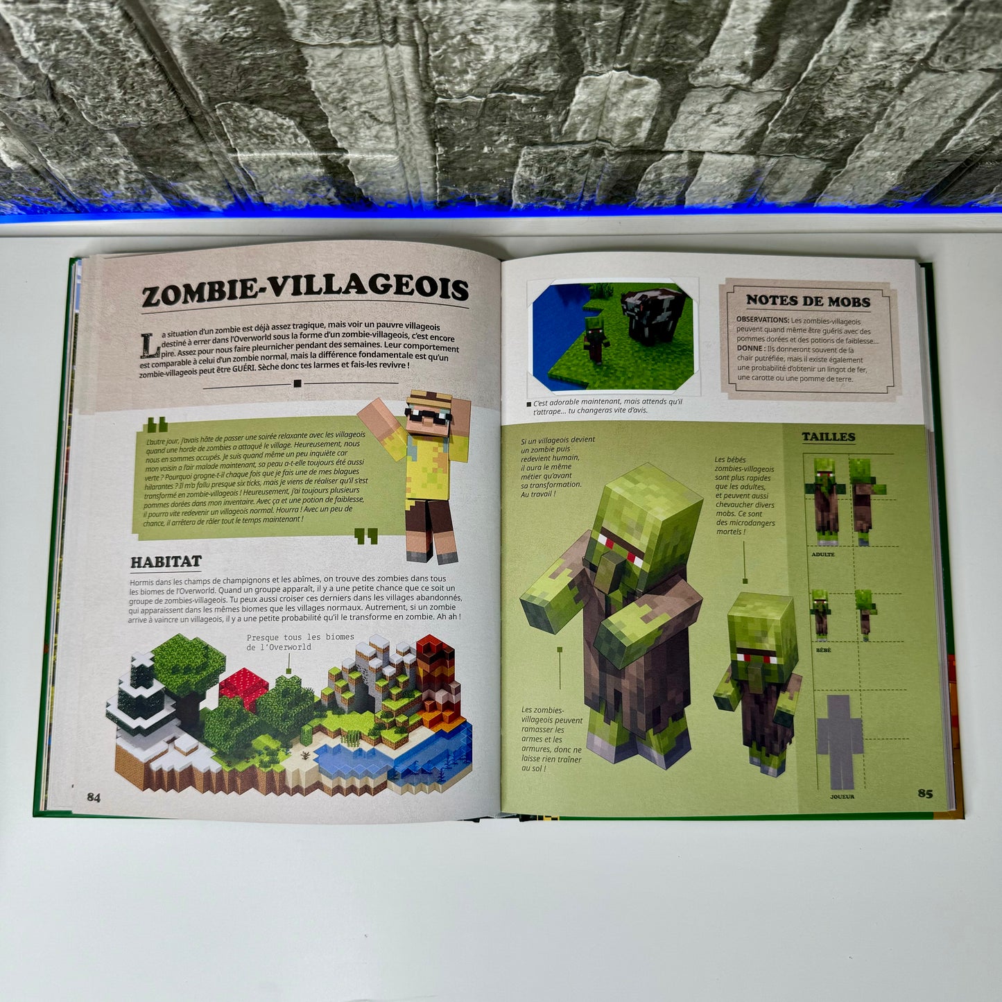 Encyclopédie Définitive Minecraft® ⏐ Maîtrise, Crée et Survis