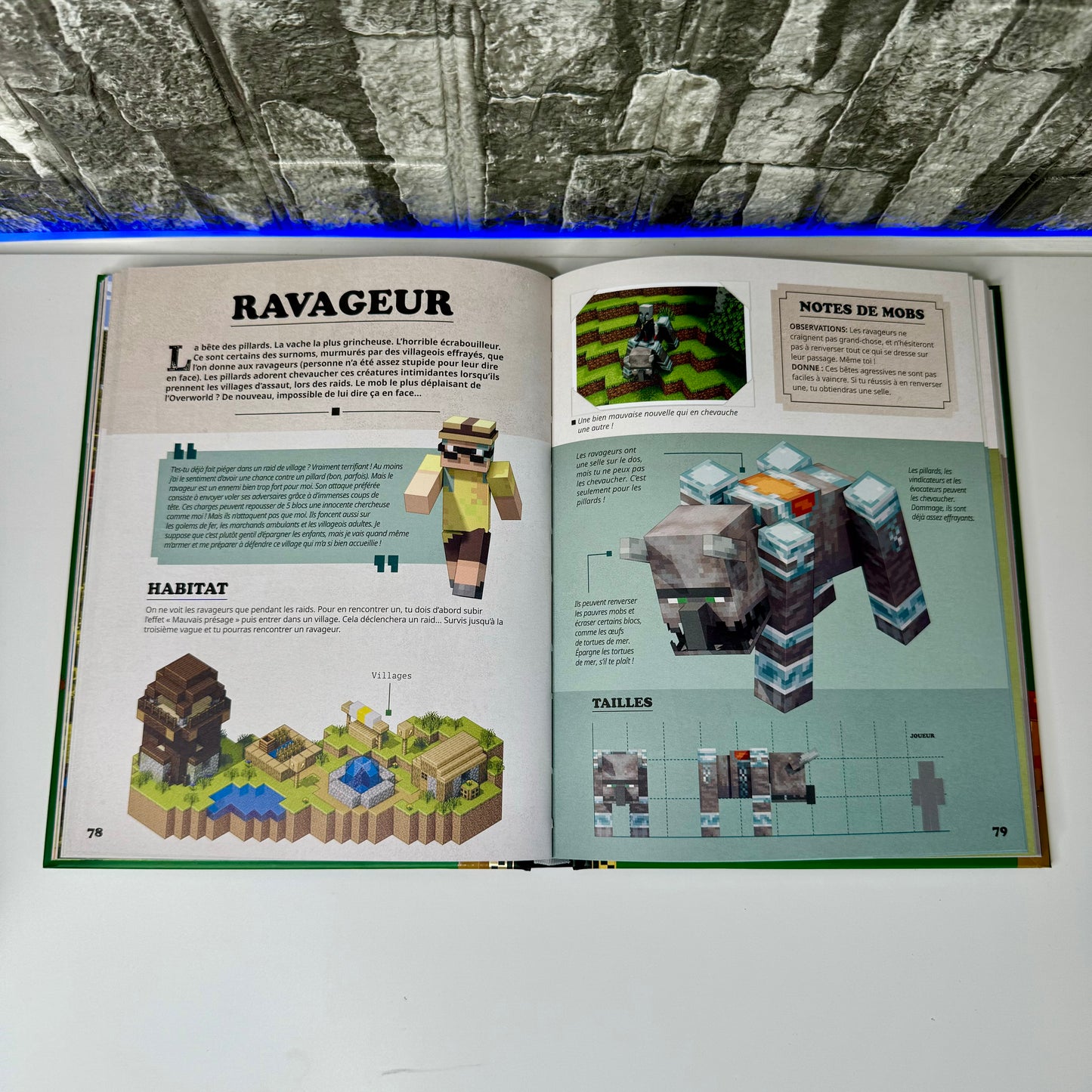 Encyclopédie Définitive Minecraft® ⏐ Maîtrise, Crée et Survis