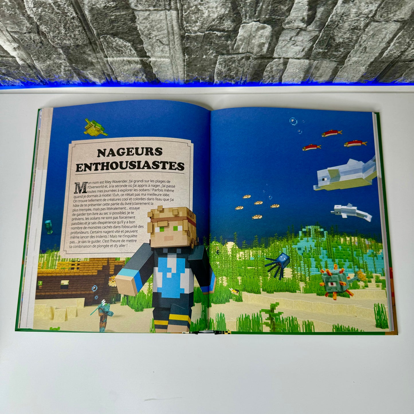 Encyclopédie Définitive Minecraft® ⏐ Maîtrise, Crée et Survis