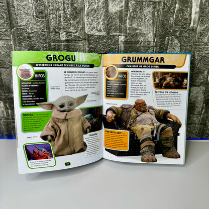 Encyclopédie Star Wars® ⏐ Le guide définitif des personnages