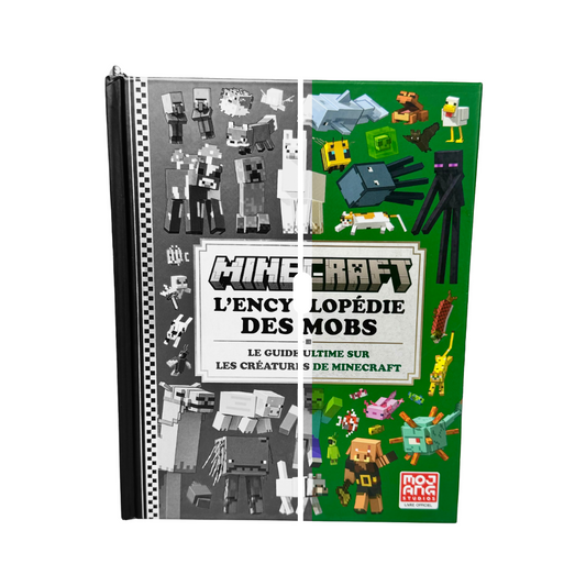 Encyclopédie Minecraft en Couleur